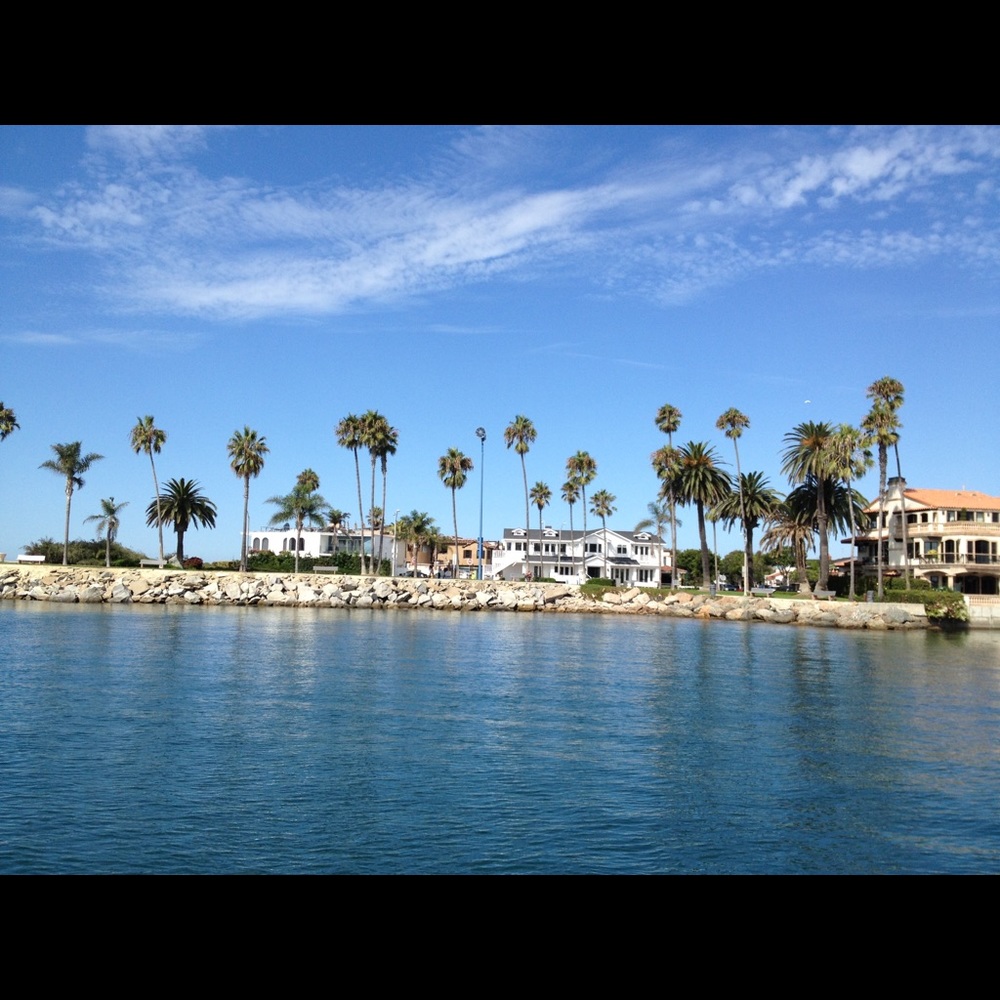 Meet your Posher, Kim